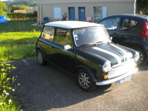 Austin Mini mini1000