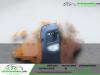 Dacia Duster TCe 125 4x2