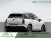 Mini Countryman 313 ch