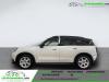 Mini Countryman 313 ch