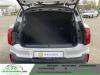Mini Countryman 313 ch