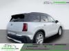 Mini Countryman 313 ch
